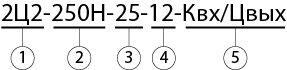 2Ц2 250Н условное обозначение.png 2Ц2 250Н условное обозначение.png