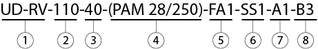 UD-RV110 условное обозначение.png